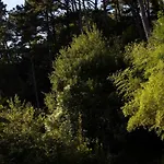 Boutique Mendi Argia San Sebastián