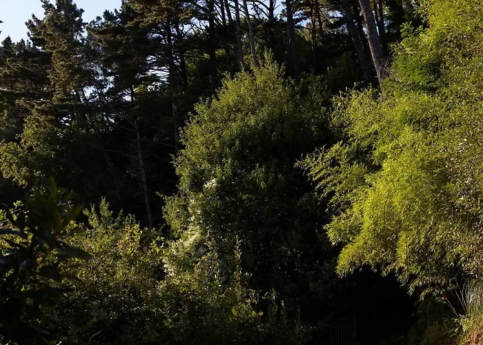 Boutique Mendi Argia 圣塞瓦斯蒂安