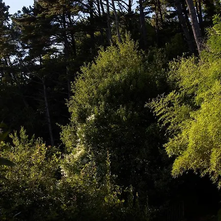 Boutique Mendi Argia San Sebastián